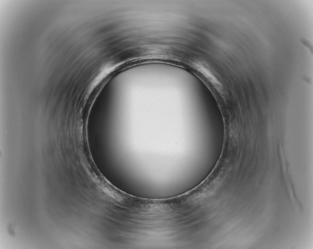 X0000094420933200711081134