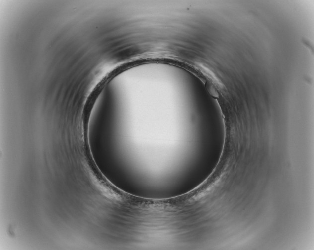 X0000094420934200711081134