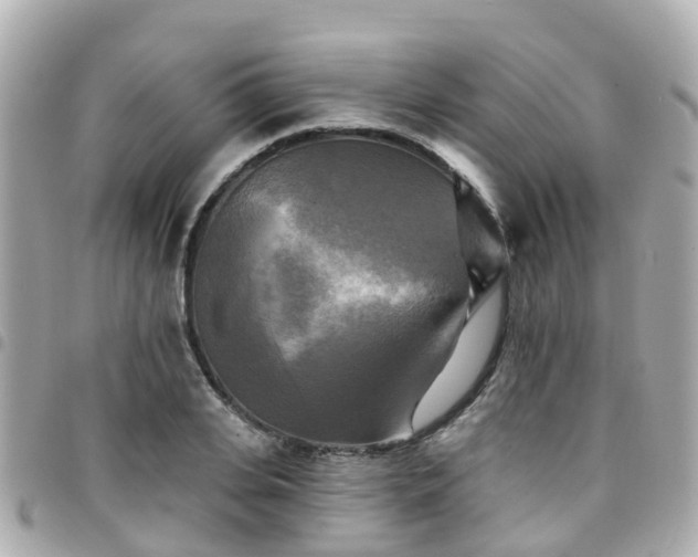X0000094420935200711081134