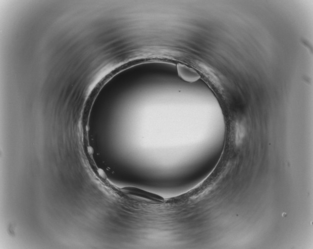 X0000094420936200711081134