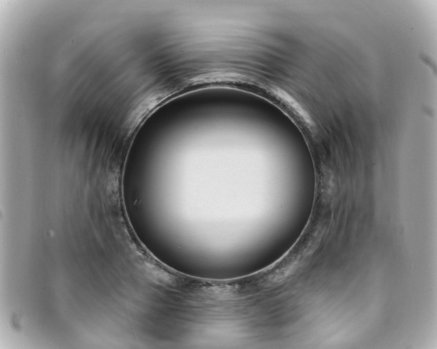 X0000094420937200711081134