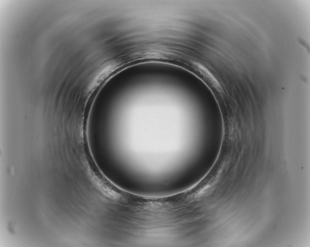 X0000094420938200711081134