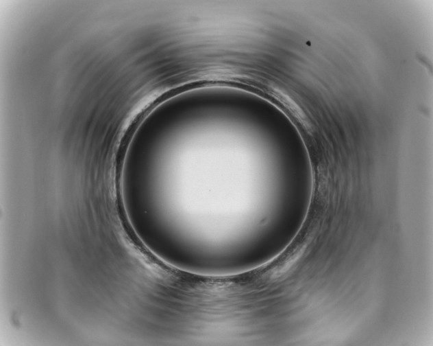 X0000094420939200711081134