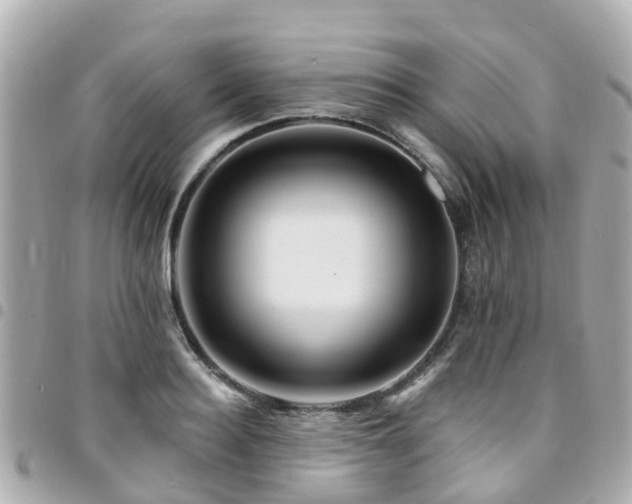 X0000094420940200711081134