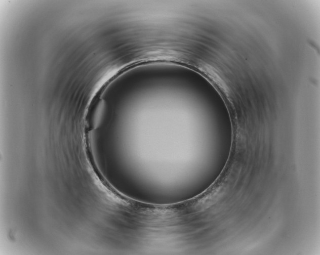 X0000094420941200711081134