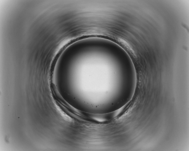 X0000094420942200711081134