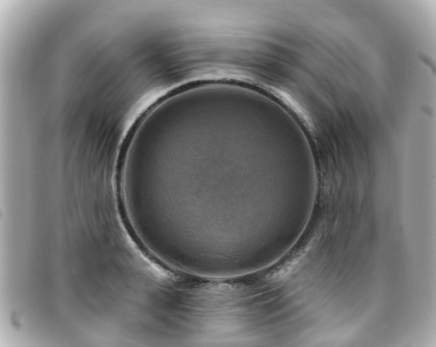X0000094420943200711081134