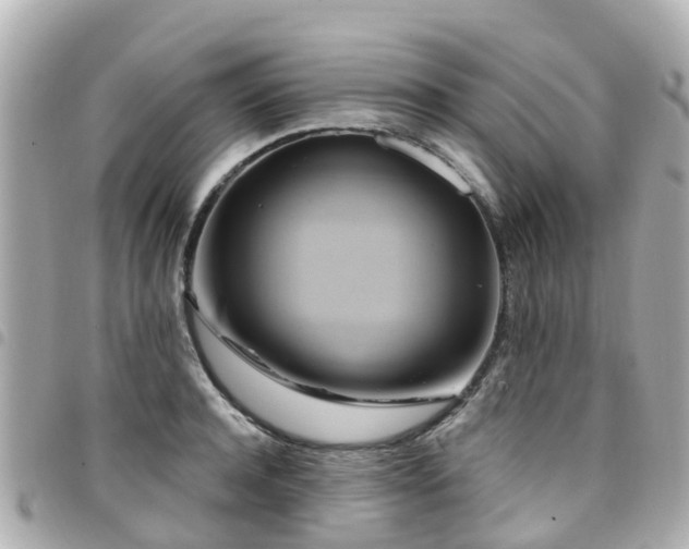 X0000094420944200711081134