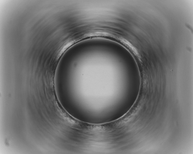 X0000094420945200711081134