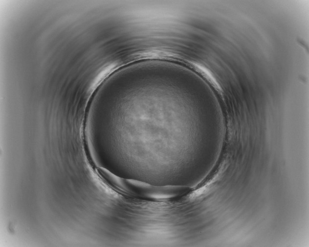 X0000094420946200711081134