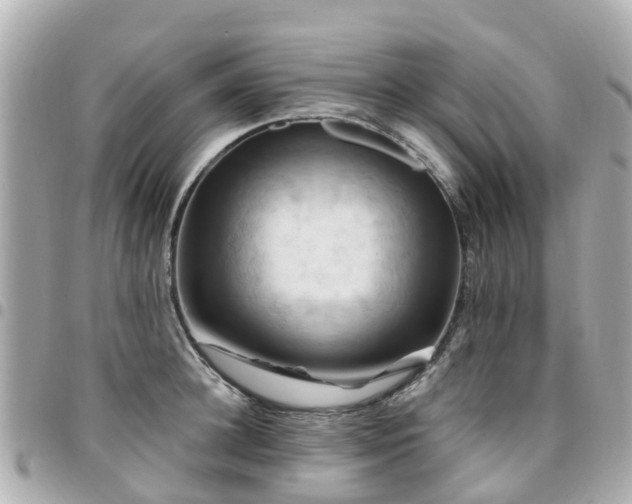 X0000094420948200711081134