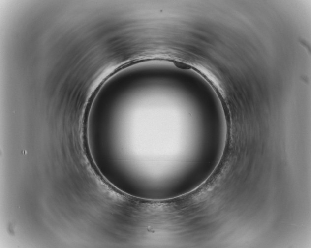 X0000094420949200711081134