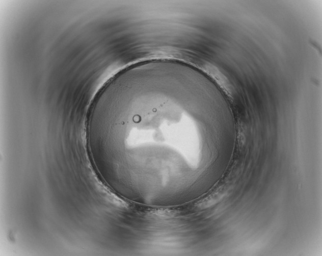 X0000094420950200711081134