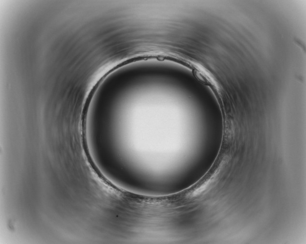 X0000094420951200711081134