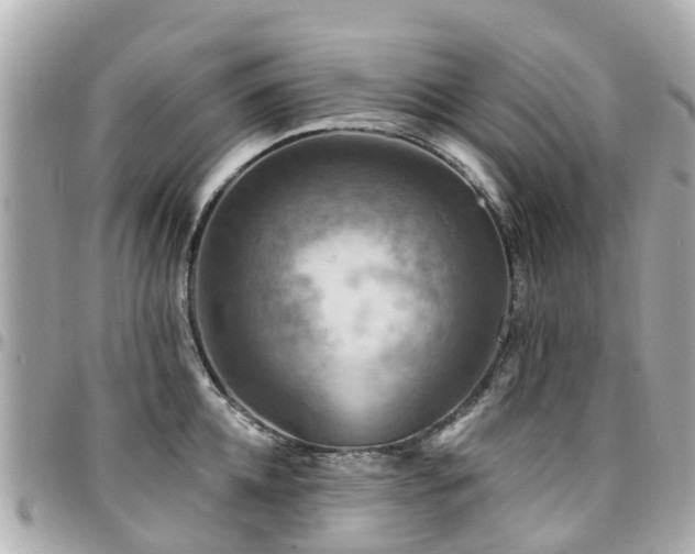X0000094420952200711081134