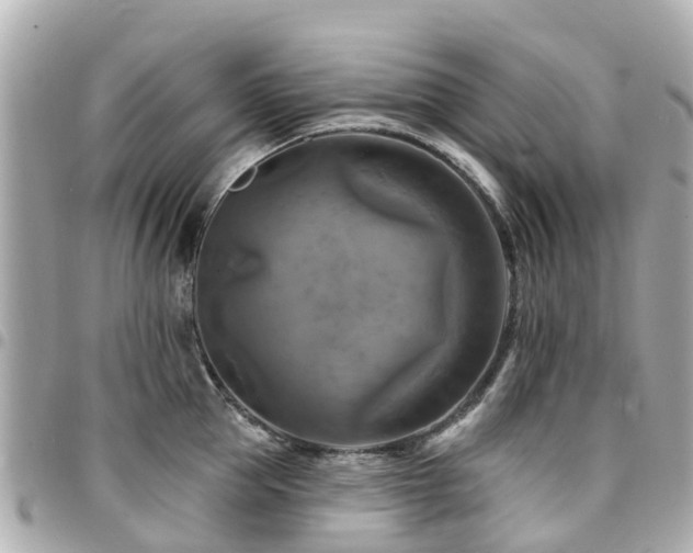 X0000094420953200711081134