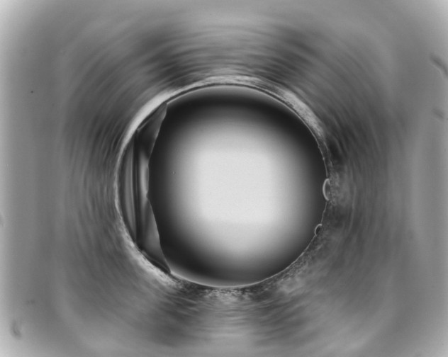 X0000094420955200711081134