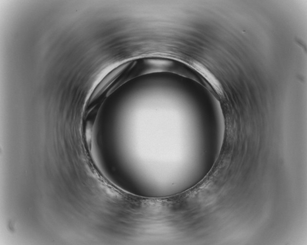 X0000094420956200711081134