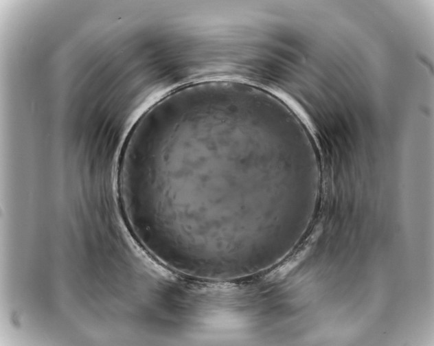 X0000094420957200711081134