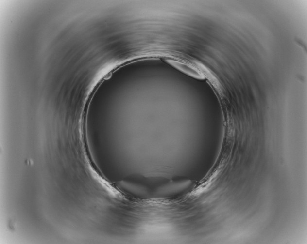 X0000094420958200711081134