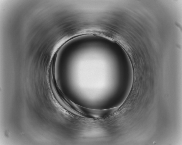 X0000094420960200711081134