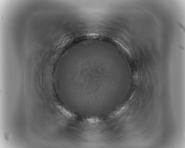 X0000094420961200711081133