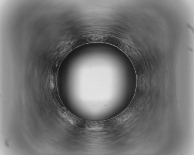 X0000094420962200711081133