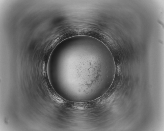 X0000094420963200711081133
