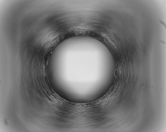 X0000094420964200711081133