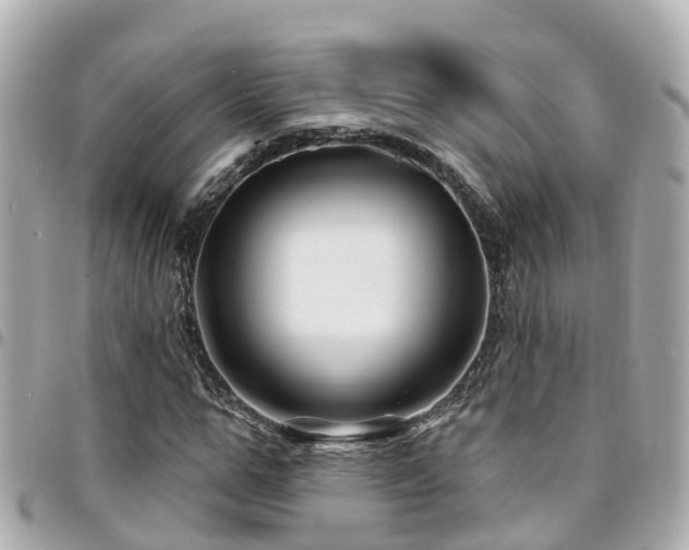 X0000094420967200711081133