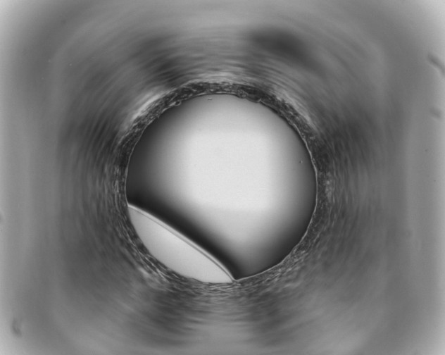 X0000094420968200711081133