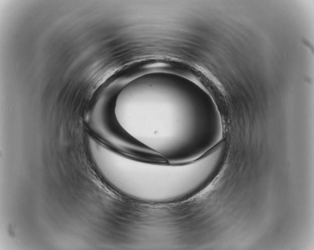 X0000094420969200711081133