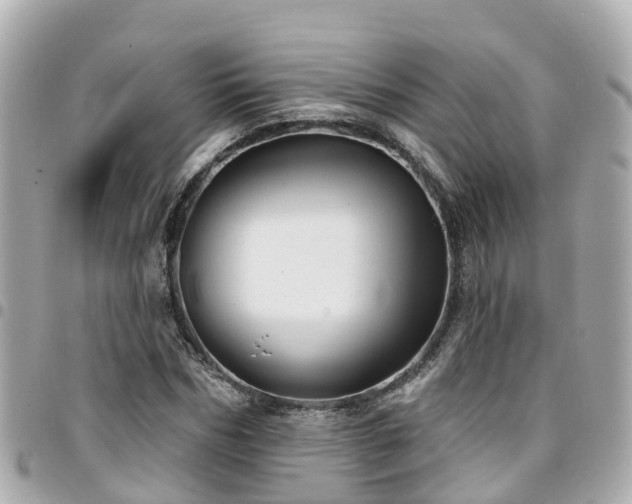 X0000094420970200711081133