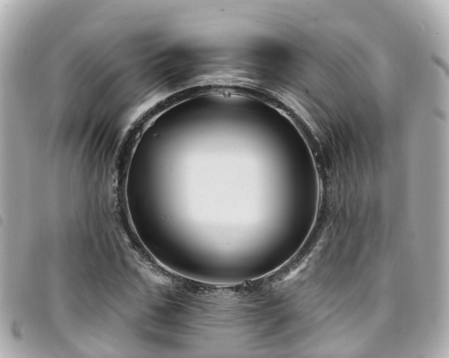 X0000094420971200711081133