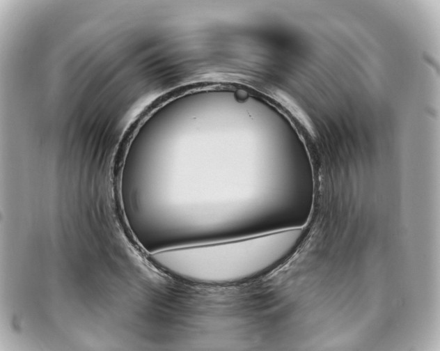 X0000094420972200711081133