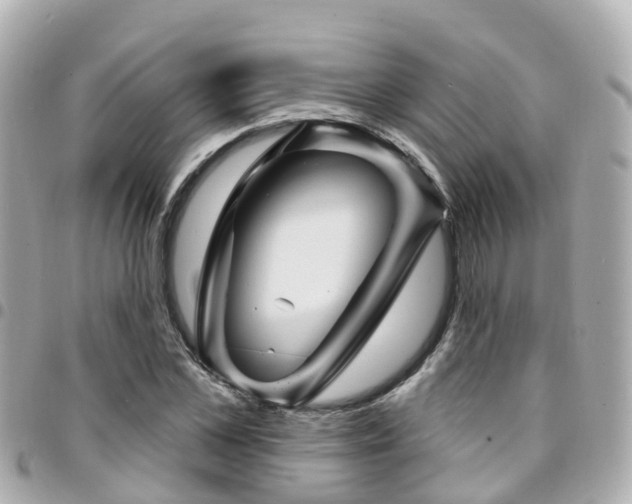 X0000094420973200711081133