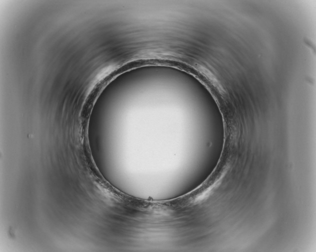 X0000094420974200711081133