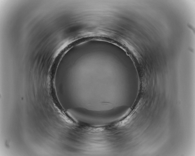 X0000094420975200711081133