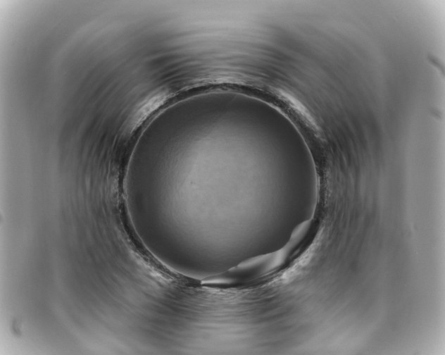 X0000094420977200711081133