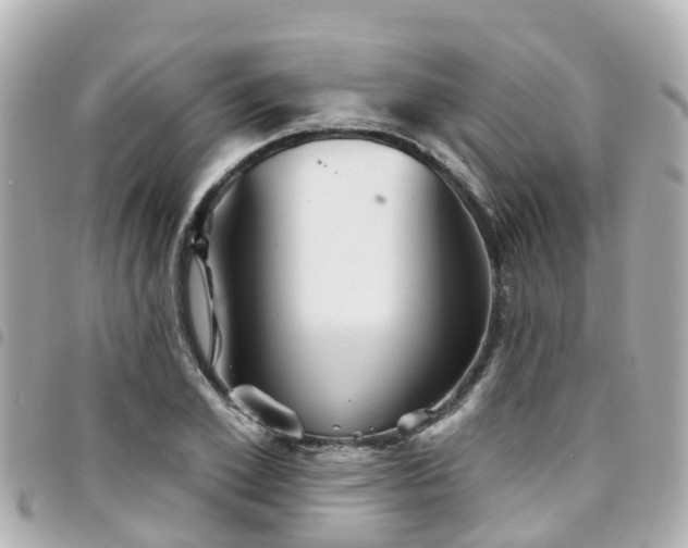X0000094420981200711081133