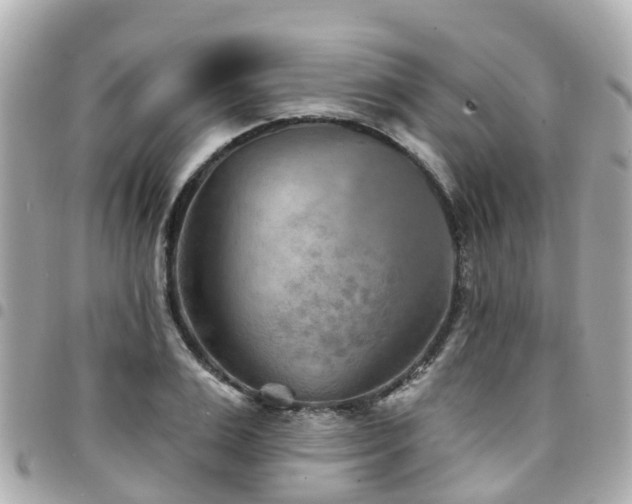 X0000094420983200711081133