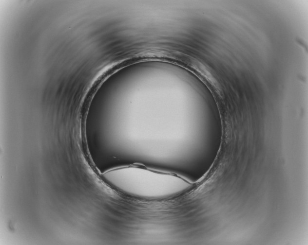 X0000094420984200711081133