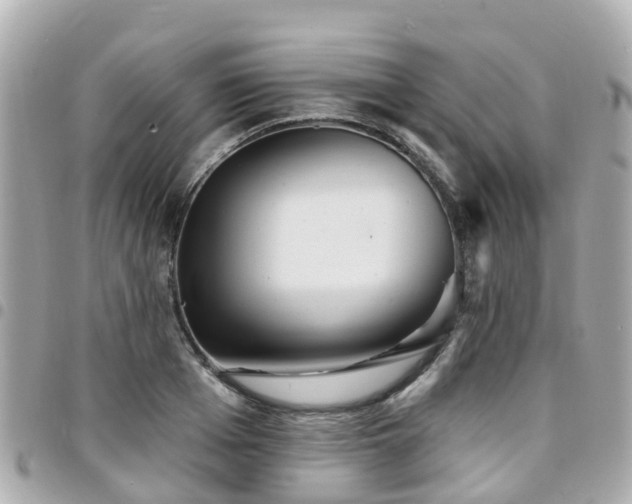 X0000094420985200711081133