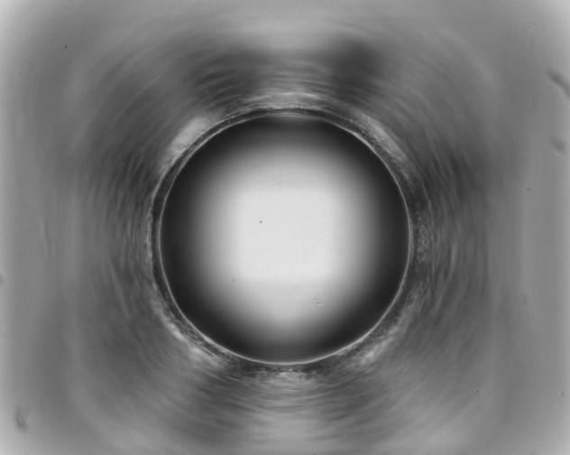 X0000094420986200711081133