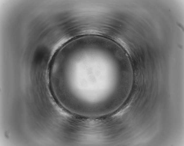 X0000094420987200711081133
