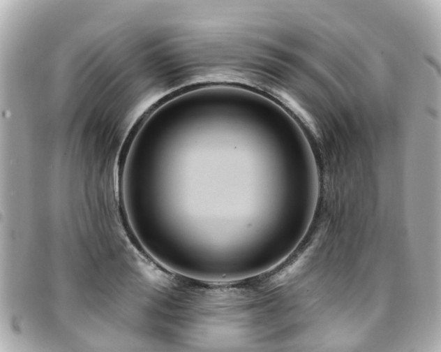 X0000094420988200711081133