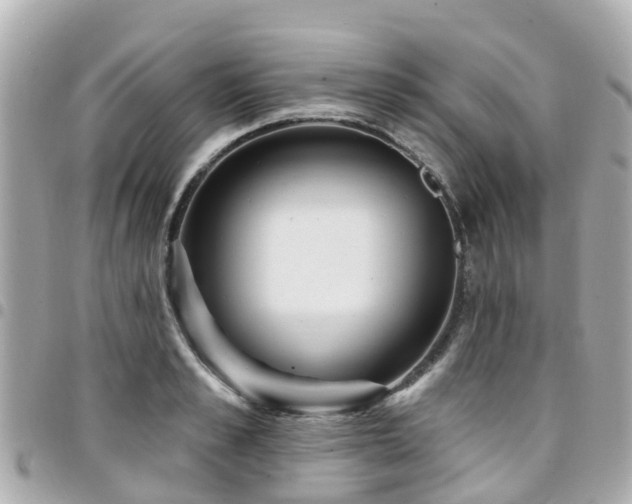 X0000094420989200711081133