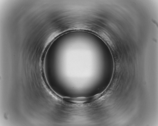 X0000094420990200711081133