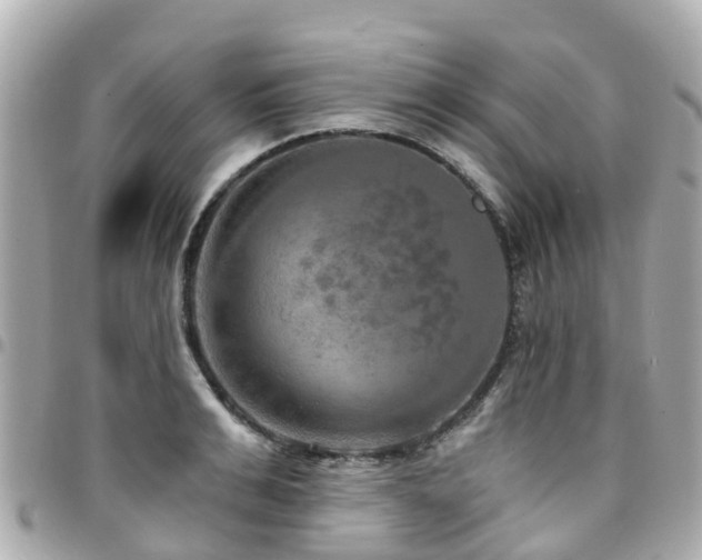 X0000094420991200711081133
