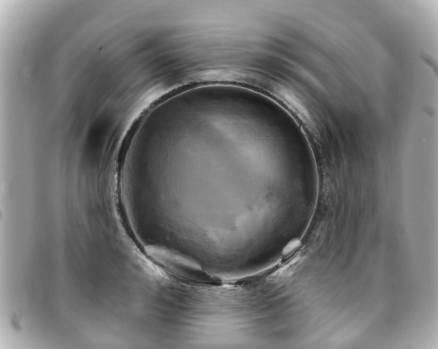 X0000094420992200711081133
